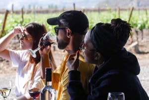 Santiago: Inka-lagunetur med lokal vingård og smagning