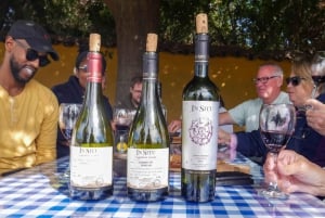 Santiago: Inka-lagunetur med lokal vingård og smagning