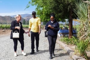 Santiago: Inka-lagunetur med lokal vingård og smagning