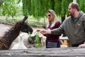 Santiago: Inka-lagunetur med lokal vingård og smagning