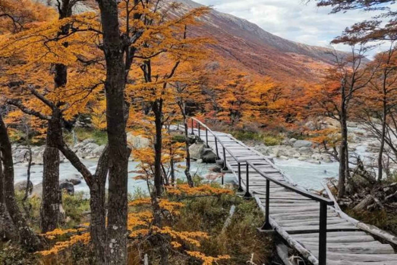 Trekking panoramico alla Laguna del Diablo – Riserva naturale Los Huemules, Patagonia