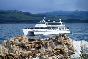 Scellement dans le canal Beagle jusqu'au phare