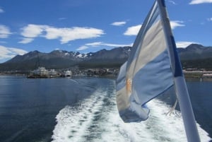 Sealing through the Beagle Channel to the Lighthouse