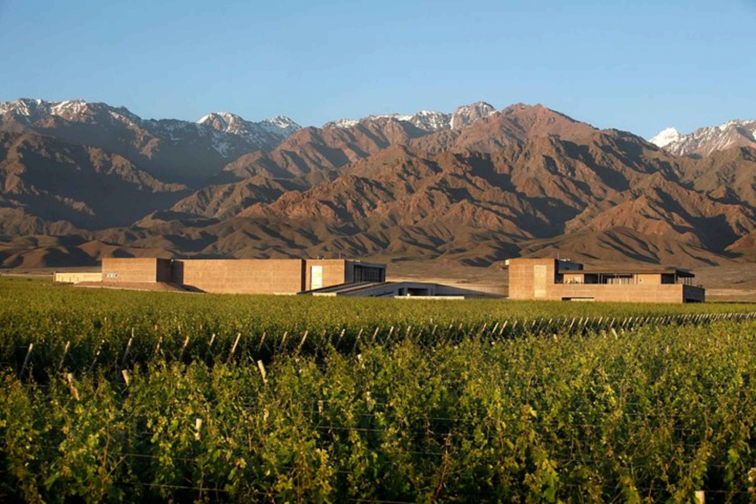 Buenos Aires: Mendoza Winery Day Trip with Lunch and Flights