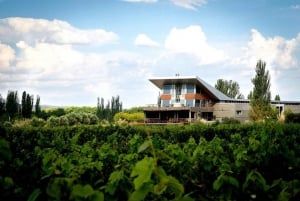 Buenos Aires: Mendoza Winery Day Trip with Lunch and Flights