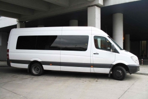 Shared Transfer from El Calafate Airport to downtown Hotel