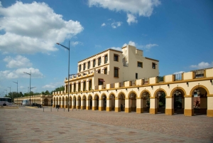 Wycieczka z portu w Buenos Aires: Wycieczka 1-dniowa do Lujan