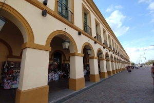 Wycieczka z portu w Buenos Aires: Wycieczka 1-dniowa do Lujan