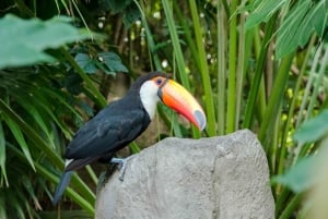 Excursão do Porto de Buenos Aires: Viagem de 1 dia a Temaikèn