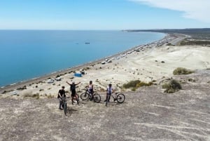 Puerto Madryn: Punta Cuevasin pyöräretki risteilymatkustajille