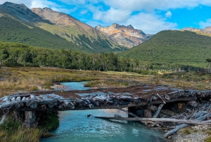 Tour estivo a Laguna Esmeralda