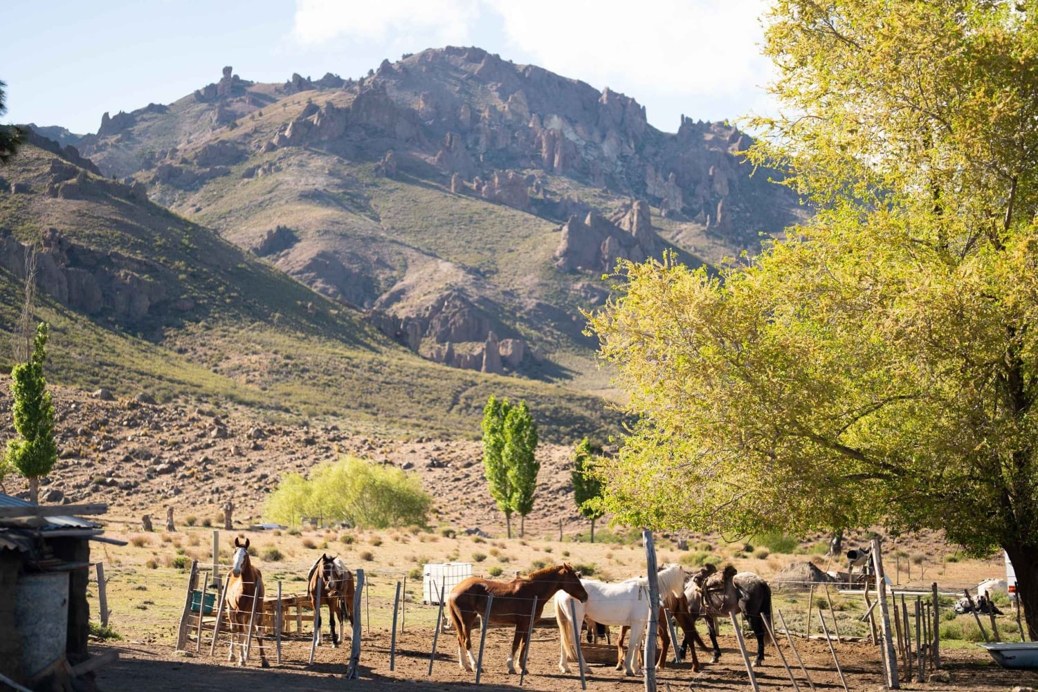 Sunset Horseback Ride in Villa Llanquin, Bariloche