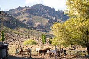 Sunset Horseback Ride in Villa Llanquin, Bariloche