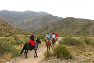 From Mendoza: Sunset Horseback Ride and Asado in the Andes