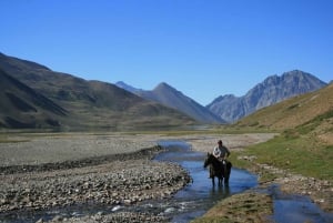 From Mendoza: Sunset Horseback Ride and Asado in the Andes