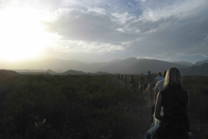 From Mendoza: Sunset Horseback Ride and Asado in the Andes