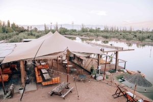 Noches de Atardecer en El Roble: ¡Únete a la mejor Fiesta de Mendoza!