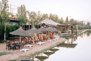 Noches de Atardecer en El Roble: ¡Únete a la mejor Fiesta de Mendoza!