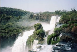 Iguazu Taxis: Airport+Waterfalls both sides+ Airport!