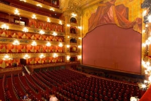 Buenos Aires: Teatro Colon Guided Tour
