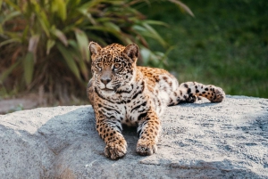 Biglietti per l'ingresso al Bioparco di Temaiken