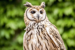 Biglietti per l'ingresso al Bioparco di Temaiken