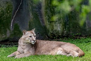Biglietti per l'ingresso al Bioparco di Temaiken