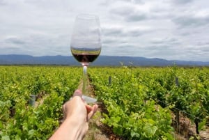 Terroir Pot Pourri wine tour.