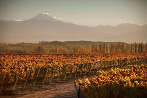 Terroir Pot Pourri wine tour.