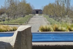 Tour enologico Terroir Pot Pourri.