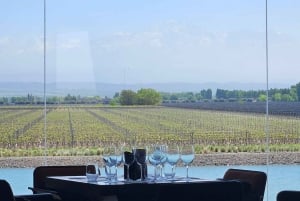 Tour enologico Terroir Pot Pourri.