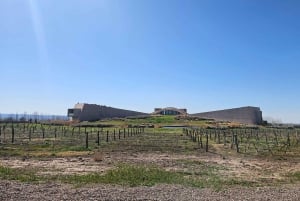 Tour enologico Terroir Pot Pourri.