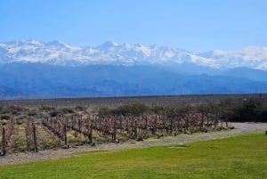 Tour enologico Terroir Pot Pourri.