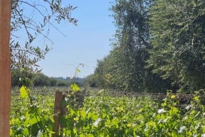 Tour enologico Terroir Pot Pourri.