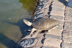 O lado B de Buenos Aires: moradores locais e tango de verdade
