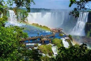 Det bedste af Iguazu-vandfaldene (brasiliansk side) - halvdagstur