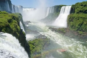 Det bedste af Iguazu-vandfaldene (brasiliansk side) - halvdagstur