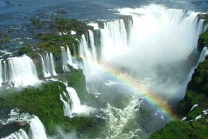The Best Views of the Iguassu Falls With Amazing Tour Guide