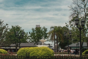 The hidden Treasures of Tigre