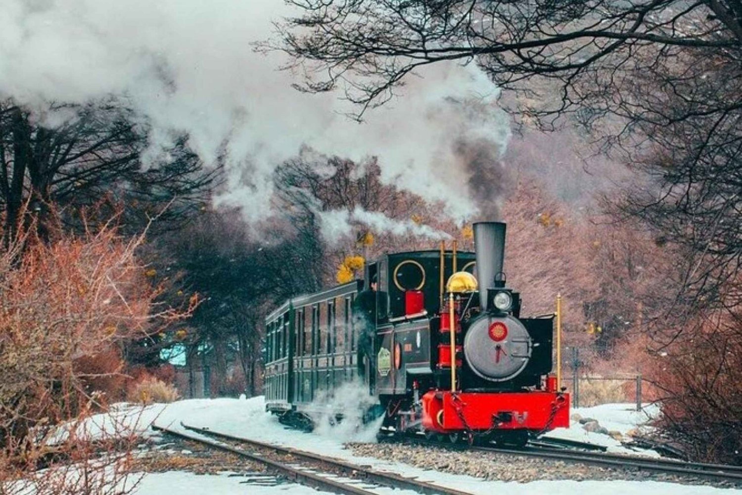 Tierra del Fuego: Parque Nacional y Tren del Fin del Mundo