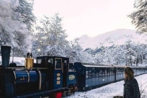 Tierra del Fuego: Nationalpark & tåg till världens ände