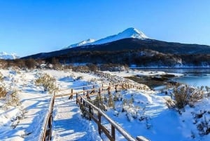 Tierra del Fuego: Nasjonalpark og tog til verdens ende