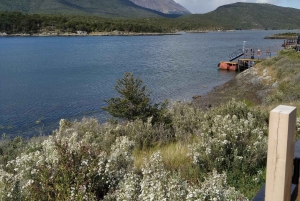 Tour privado del Parque Nacional de Tierra del Fuego