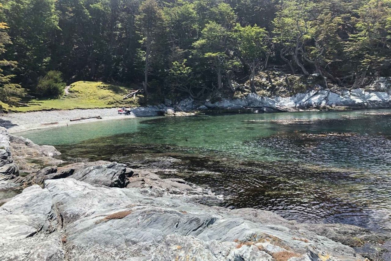 STIER I NATIONALPARKEN TIERRA DEL FUEGO (TUR FOR KRYDSTOGTSKIBE)