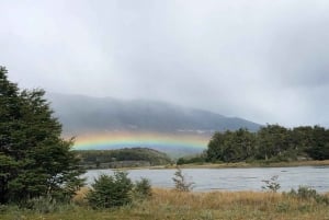 SENTIERI DEL PARCO NAZIONALE DELLA TIERRA DEL FUEGO (TOUR PER CROCIERISTI)