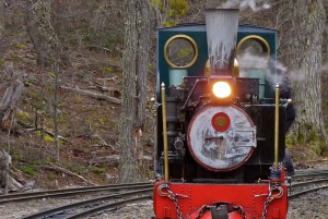 Tierra del Fuego National Park & The End of the World Train