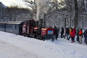 Tierra del Fuego National Park & The End of the World Train