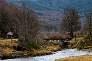 Tierra del Fuego National Park & The End of the World Train