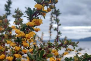 PARCO NAZIONALE DELLA TERRA DEL FUOCO E TRENO DELLA FINE DEL MONDO