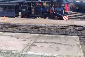 PARCO NAZIONALE DELLA TERRA DEL FUOCO E TRENO DELLA FINE DEL MONDO